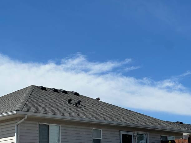 Best Asphalt Shingle Roofing  in Berlin, OH